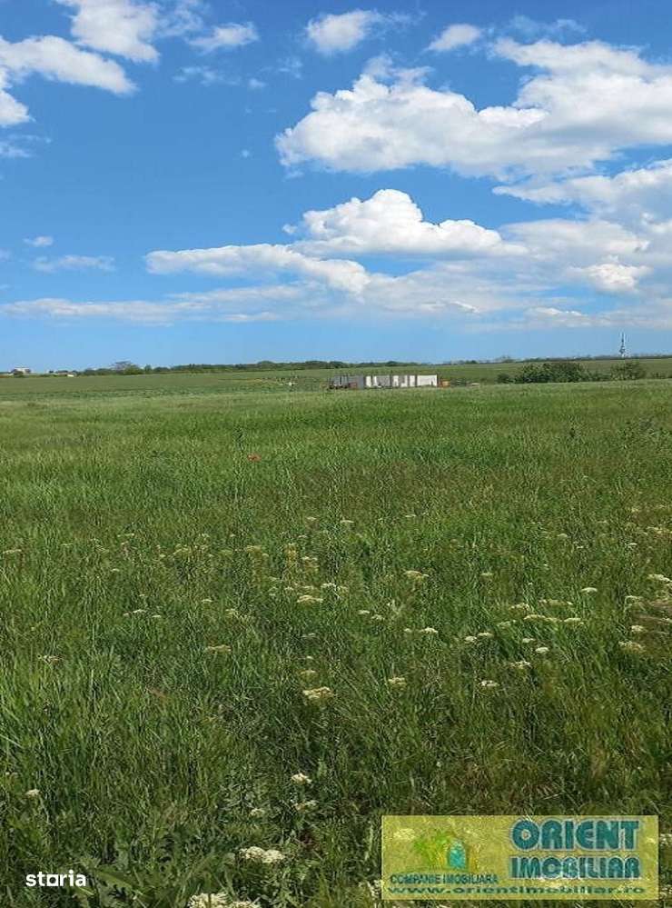 Techirghiol, teren 2.496mp, extravilan-3
