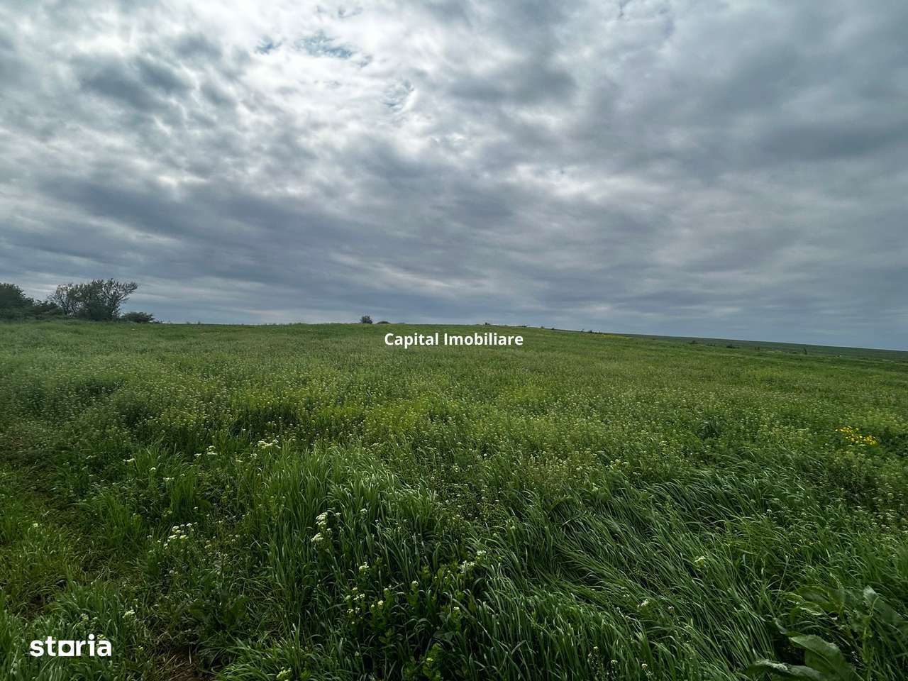 Teren de vânzare Bals Com. Voineasa, Sat Racovita - Imagine principală: 3/3