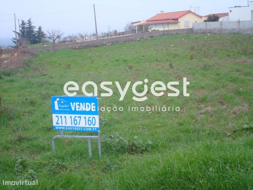 Terreno Rústico situado na freguesia do Carvalhal para construção - Grande imagem: 4/4