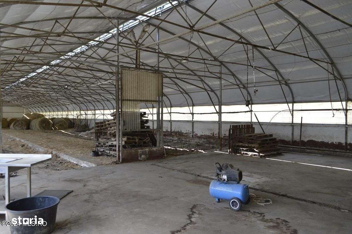 Bogati - Glimbocel, ferma zoo, cladiri autorizate DSV, teren 8766 mp - Imagine principală: 4/18
