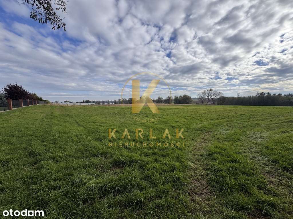 Działki budowlane w Międzychodzie koło Śremu z WZ-3