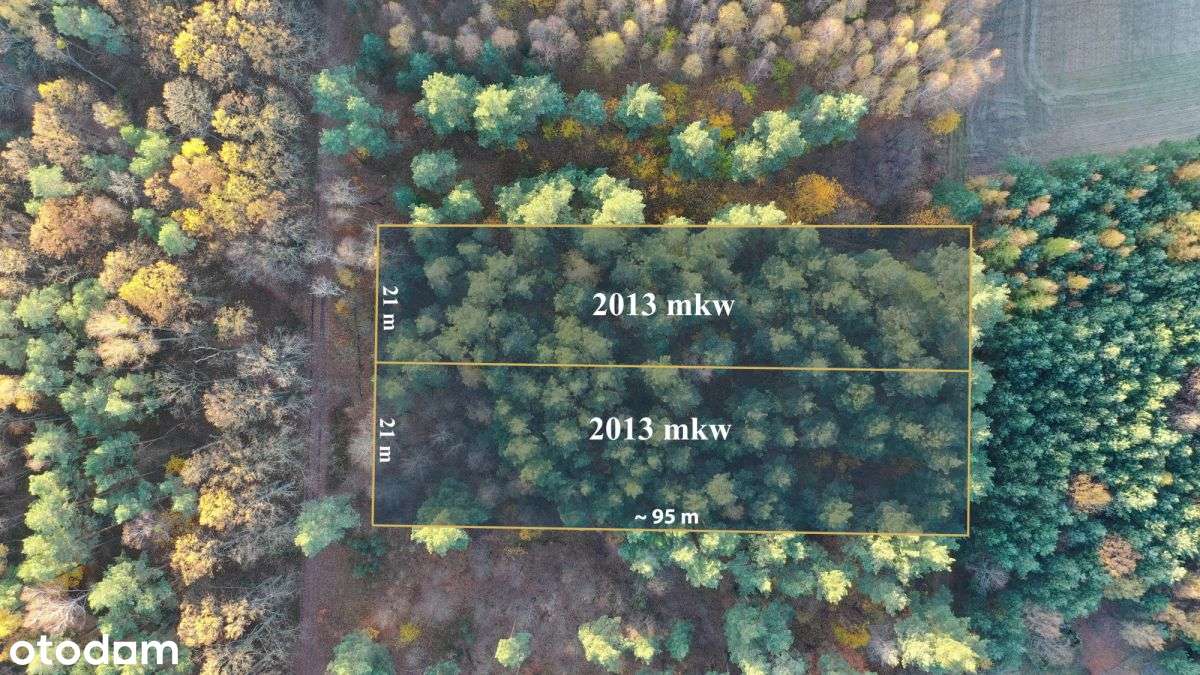 Działka budowlana w lesie - Pełny obrazek: 2/9