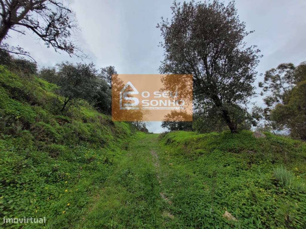 Terreno Rústico com 3.450 m²-10