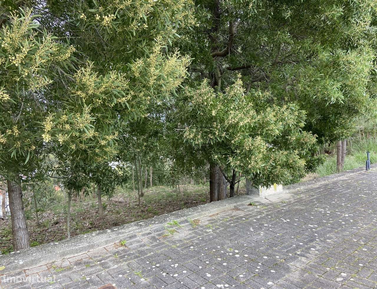 Terreno  Venda em Leiria, Pousos, Barreira e Cortes,Leiria - Grande imagem: 5/6