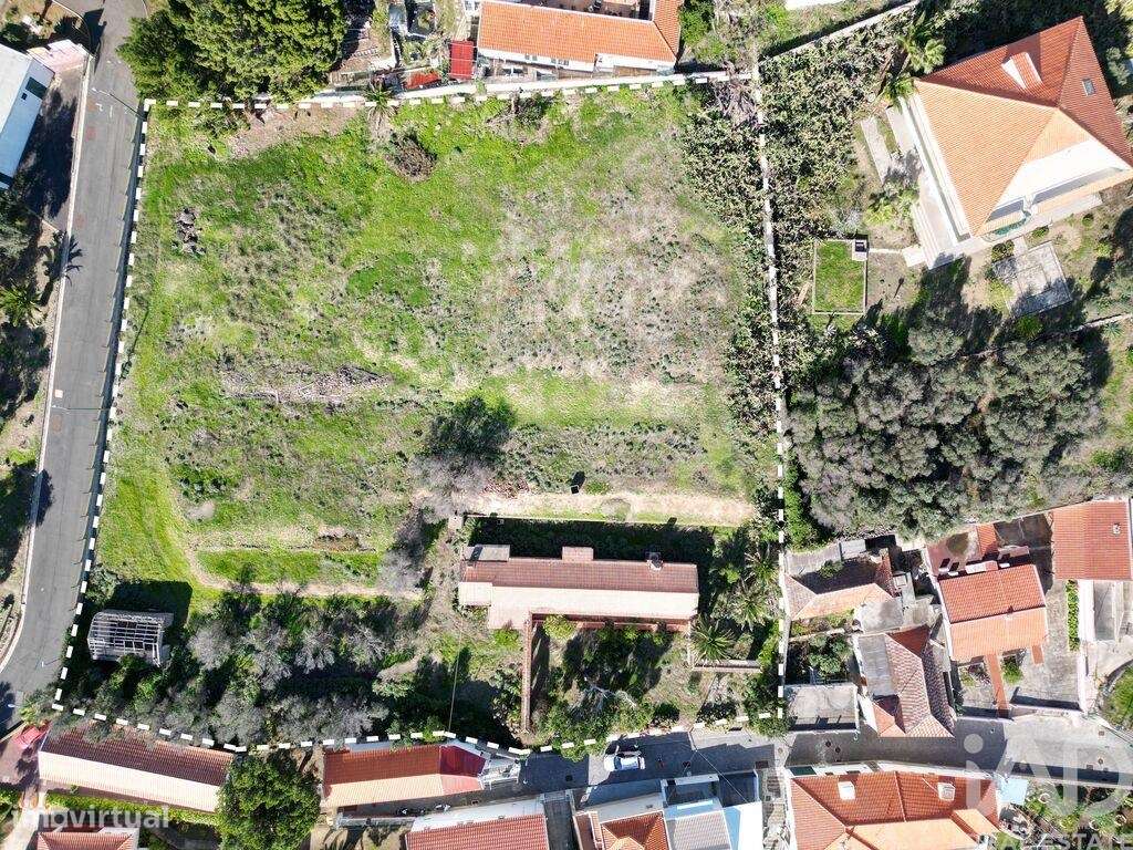 Terreno T5 em Porto Santo de 4766,00 m2 - Grande imagem: 4/18