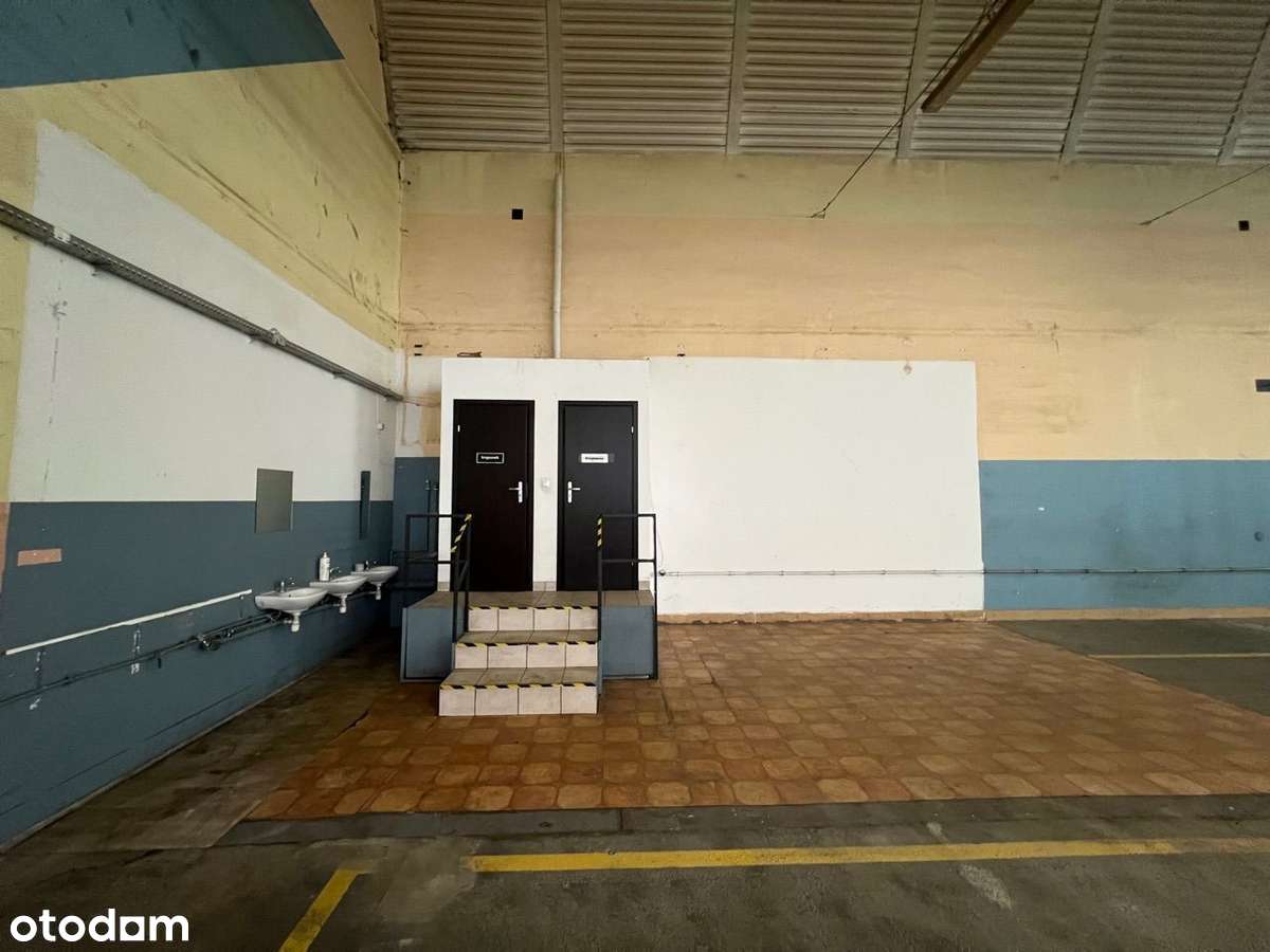 Hala magazynowa wysoki skład/Produkcja - 1000m2 - Pełny obrazek: 4/9
