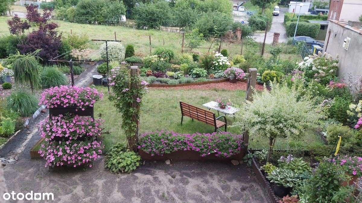 Cena stopniała szybciej niż śnieg!  Promocja!-12