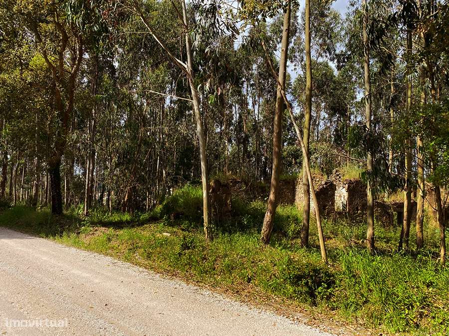Grande terreno com habitação em ruína, 5 min. de C. da Rainha e Óbidos-8