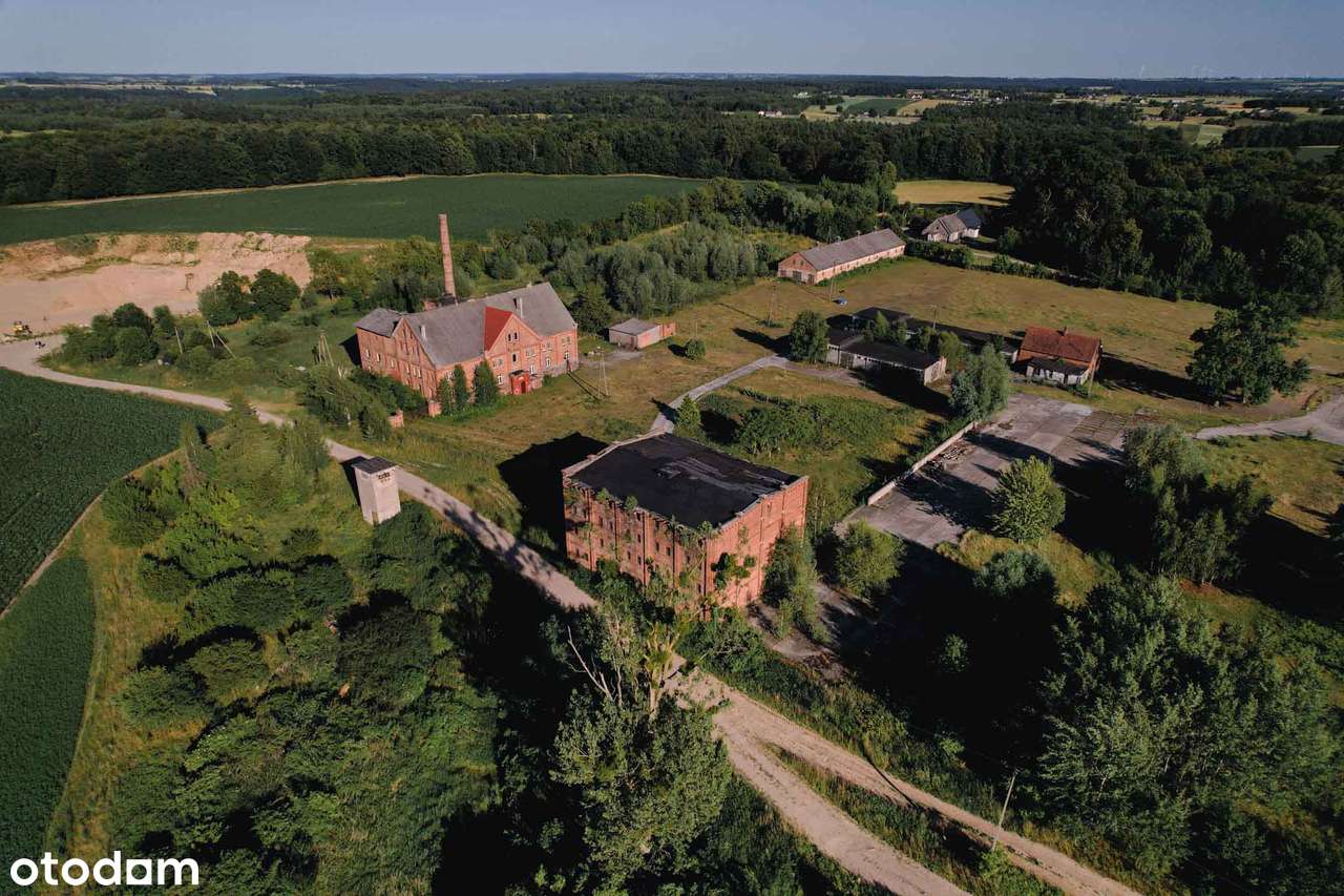 Sprzedam Folwark pod Brodnicą - łącznie 23ha - Pełny obrazek: 5/13