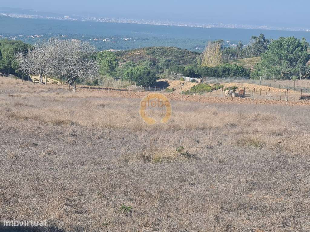 Terreno com 14000 m2 com vista espetacular para o Mar. - Grande imagem: 5/6