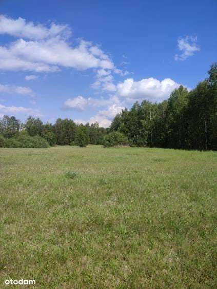 Działka 6,86 ha | Piękne tereny | Dotacje - Pełny obrazek: 4/9