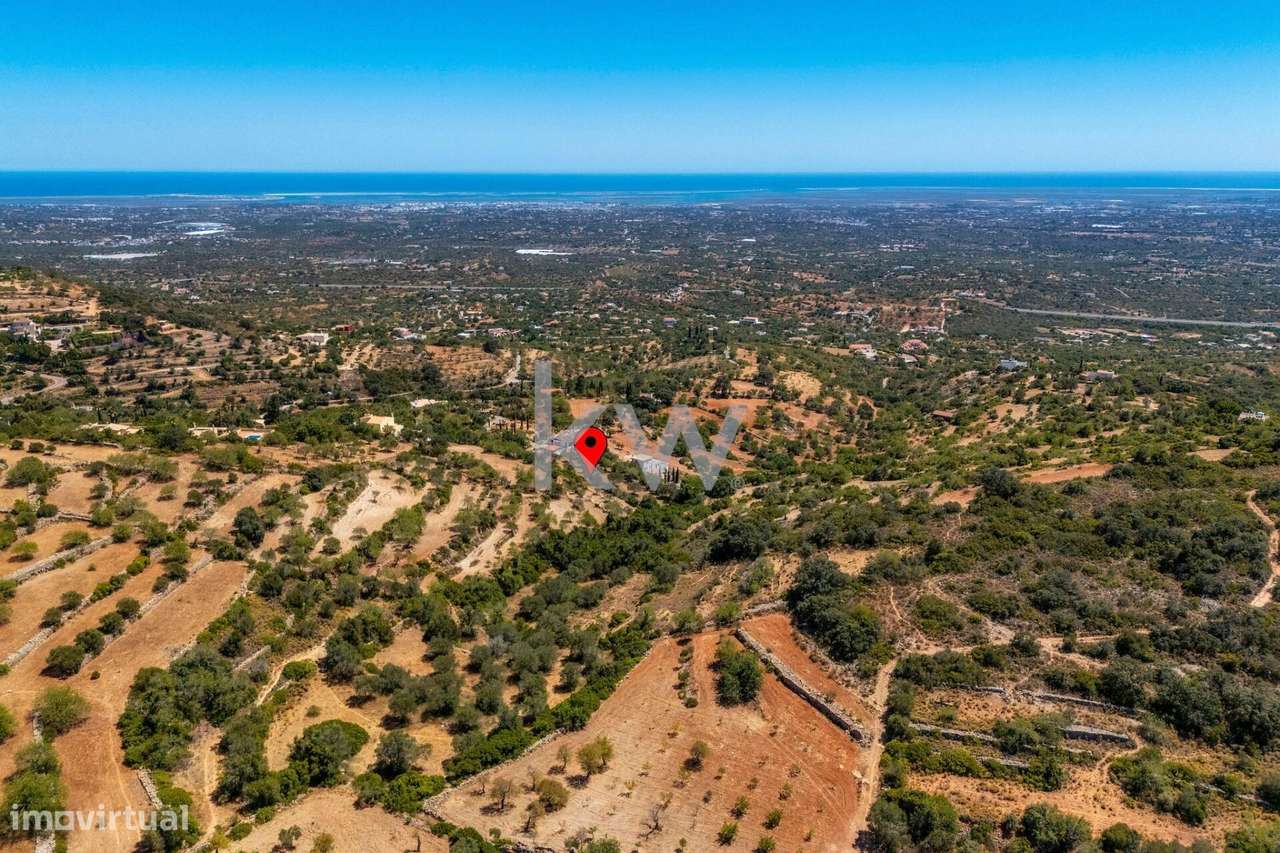 Terreno Rustico com Vista para o Mar - Grande imagem: 4/34