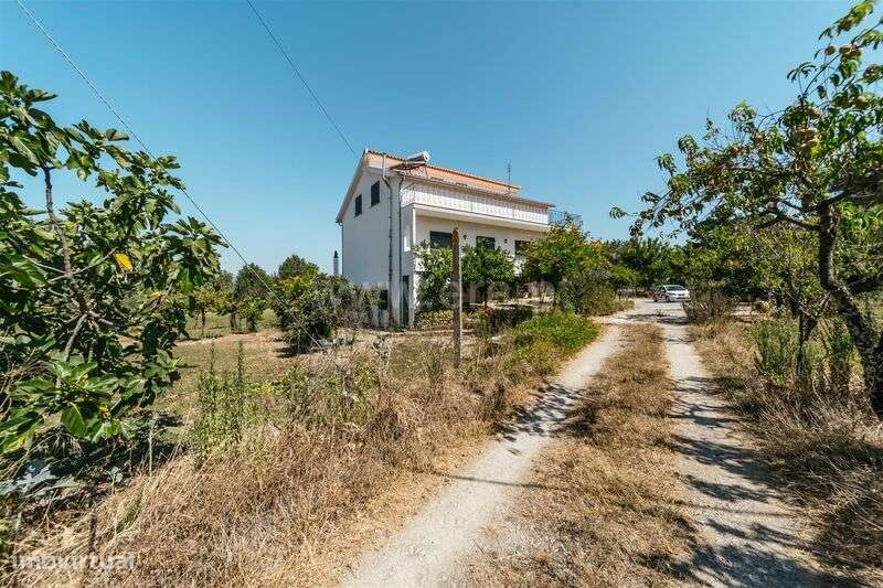 Moradia Isolada T4 / Gouveia, Melo e Nabais - Grande imagem: 5/20