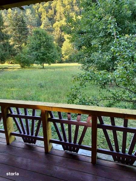 Teren de vanzare in Remeti, jud Bihor, suprafata 2.900 mp - Imagine principală: 4/8