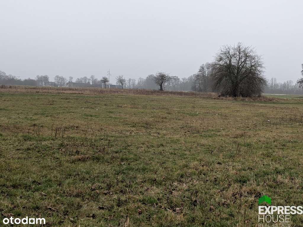 Działka rolna 4900 m, niedaleko Warszawy - Pełny obrazek: 4/4
