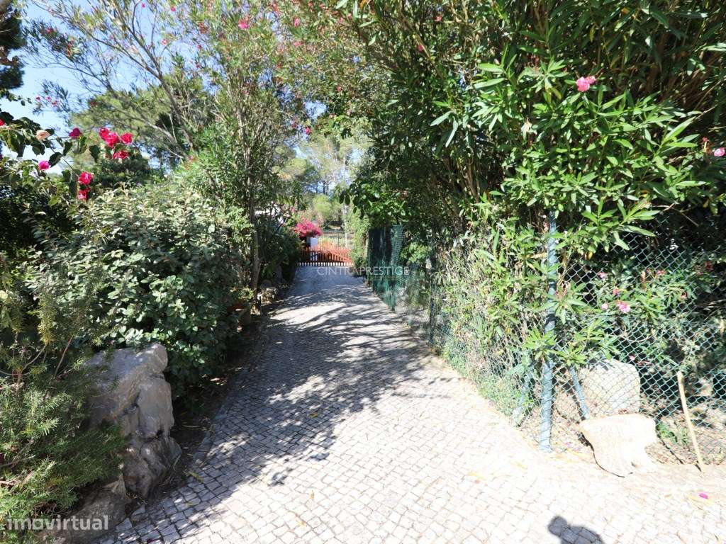 Andar/Moradia em Condomínio/Quintinha em Janas/Colares - Grande imagem: 3/22