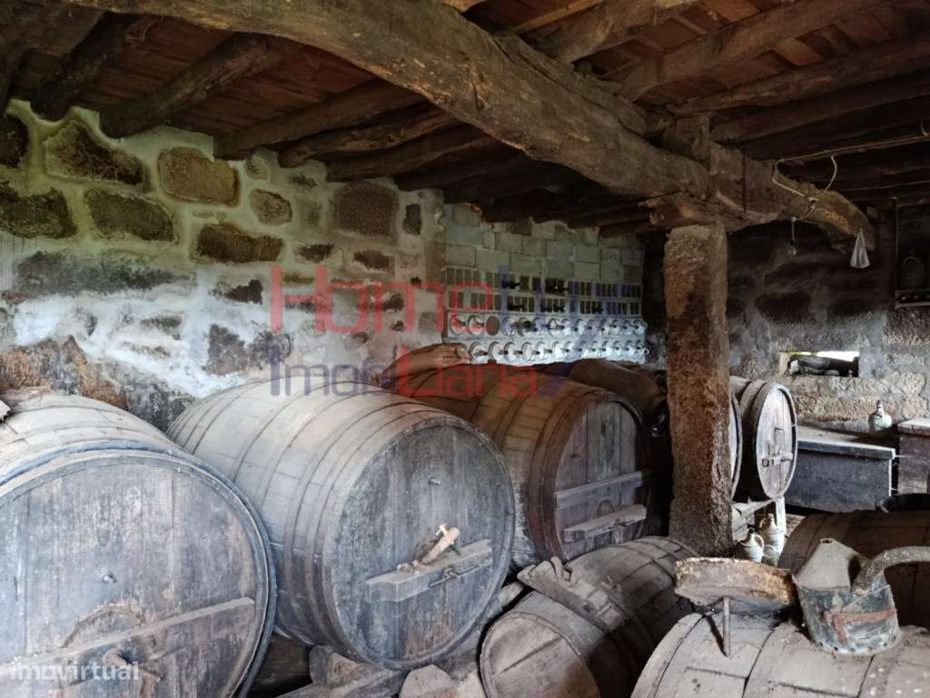 Quinta com Projeto para Turismo Rural em São Pedro do Sul-47