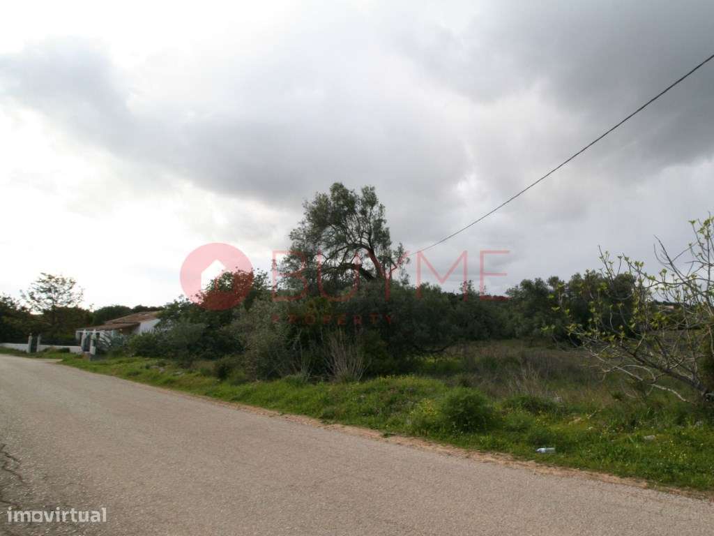 Terreno Rústico em Abelheira, Campina de Boliqueime - 6.507 m² de P... - Grande imagem: 3/4