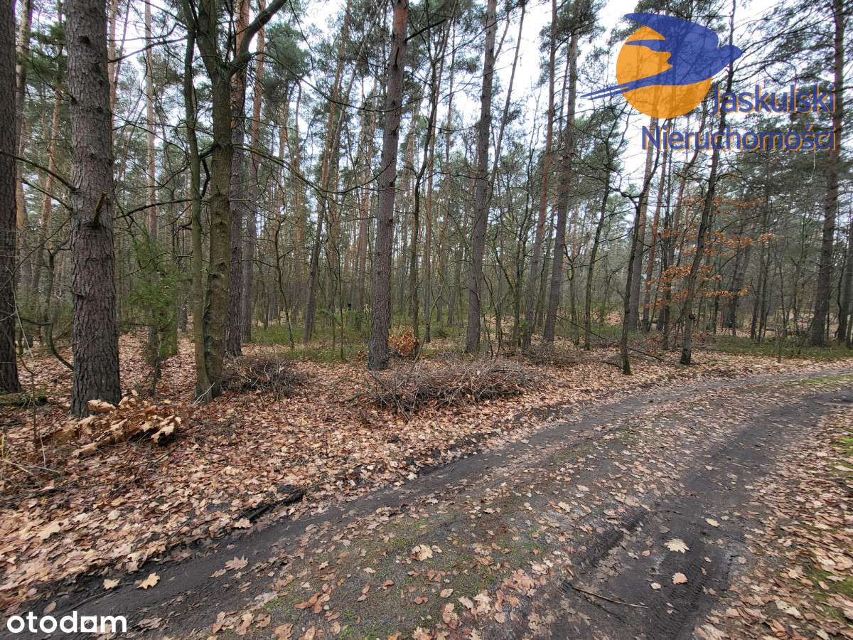 Osiedle Wilga - Pełny obrazek: 2/12