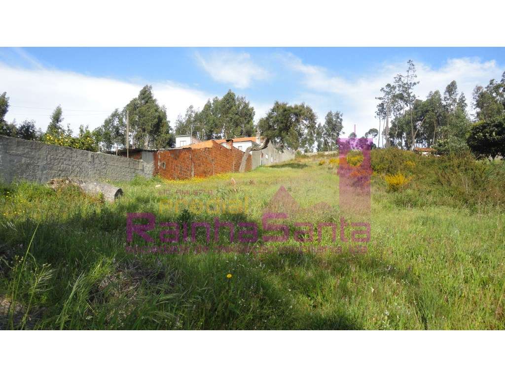 Terreno c/ viabilidade de construção - Coimbra - Grande imagem: 5/6