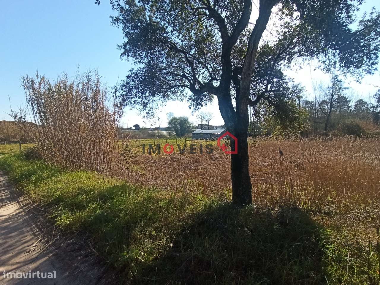 Terreno - Amor - Grande imagem: 2/4