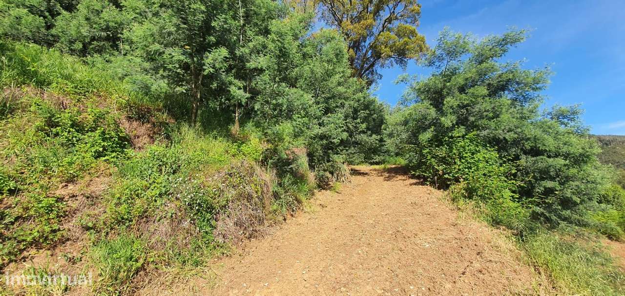 Excelente Terreno com acesso feito ao rio - Grande imagem: 4/9