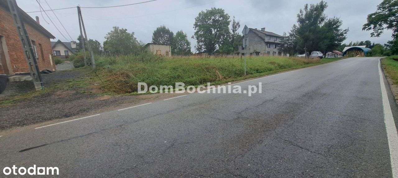 Borek 1168m2 działka budowlana obok piekarni - Pełny obrazek: 5/6