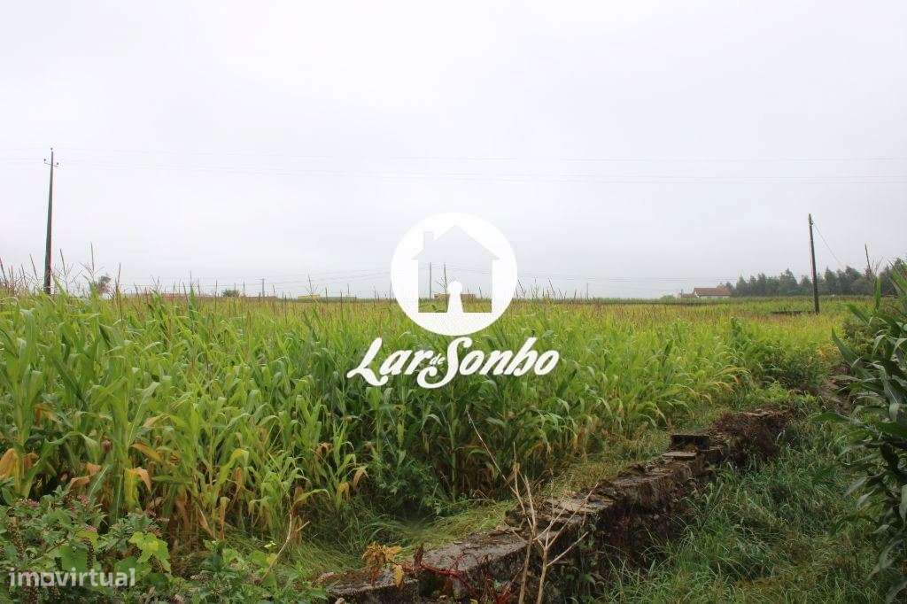 Terreno construção de Moradias ou Apartamentos - Grande imagem: 4/25