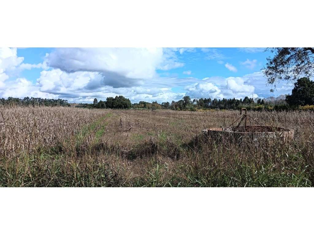 Terreno com 12 m de frente a poucos minutos do centro de Vagos - Grande imagem: 4/23