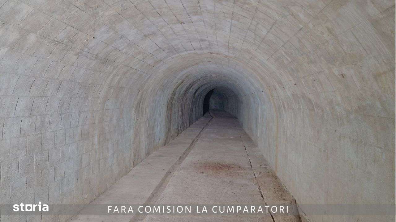 CRAMA - Oportunitate Unica in Domeniul Viticol-8