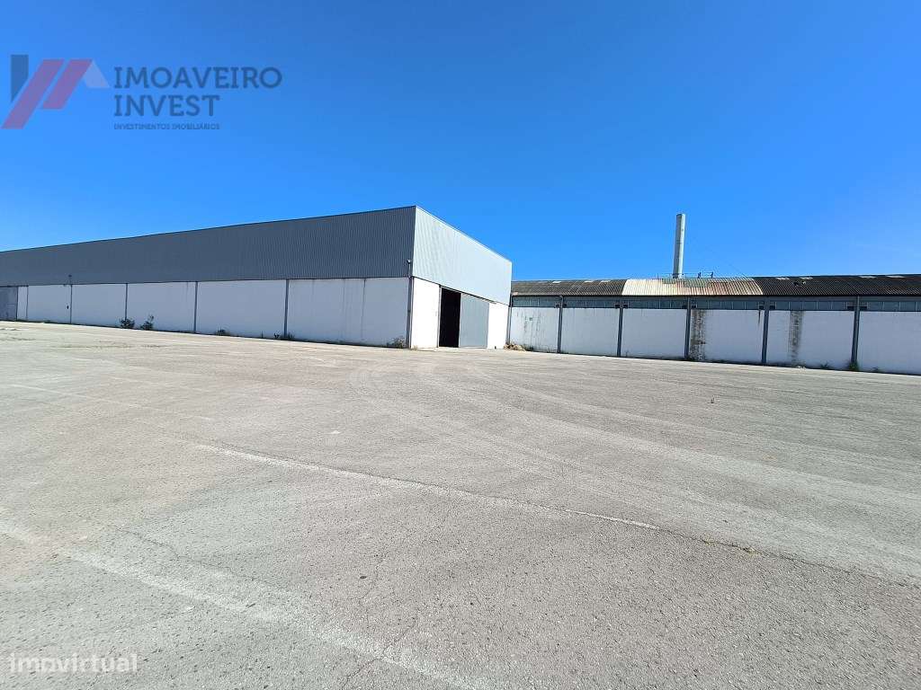 Armazém Industrial com escritórios Em Águeda - Grande imagem: 4/16