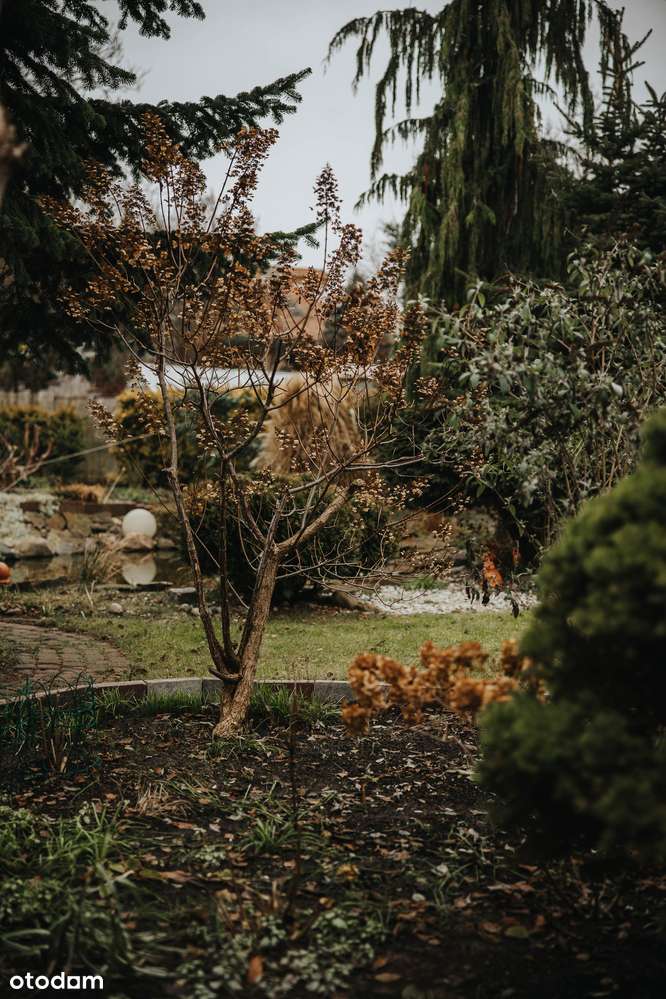 Dom z duszą na Bydgoskim Miedzyniu-4