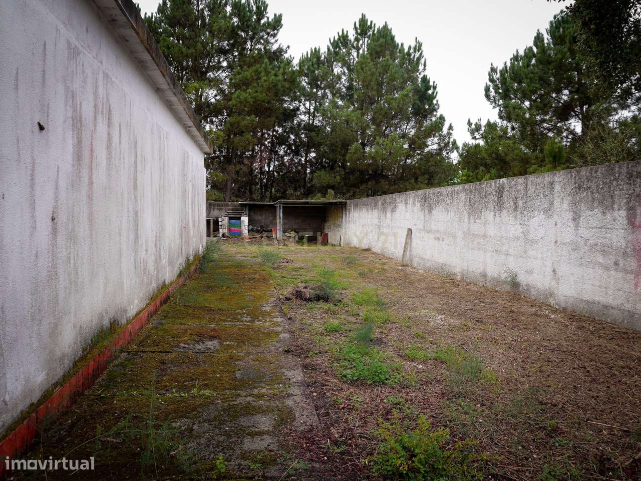 Moradia térrea no Tramagal-19