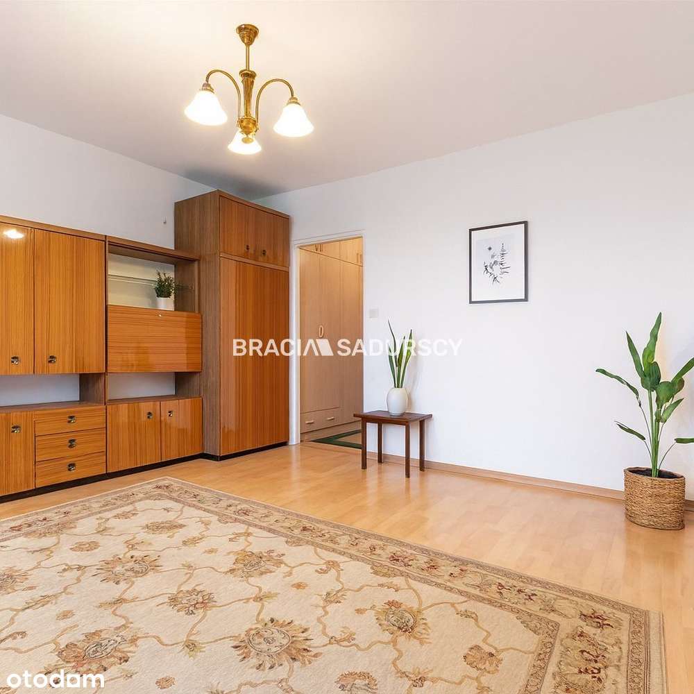 3 pokoje, + osobna kuchnia, Mistrzejowice - Pełny obrazek: 2/20