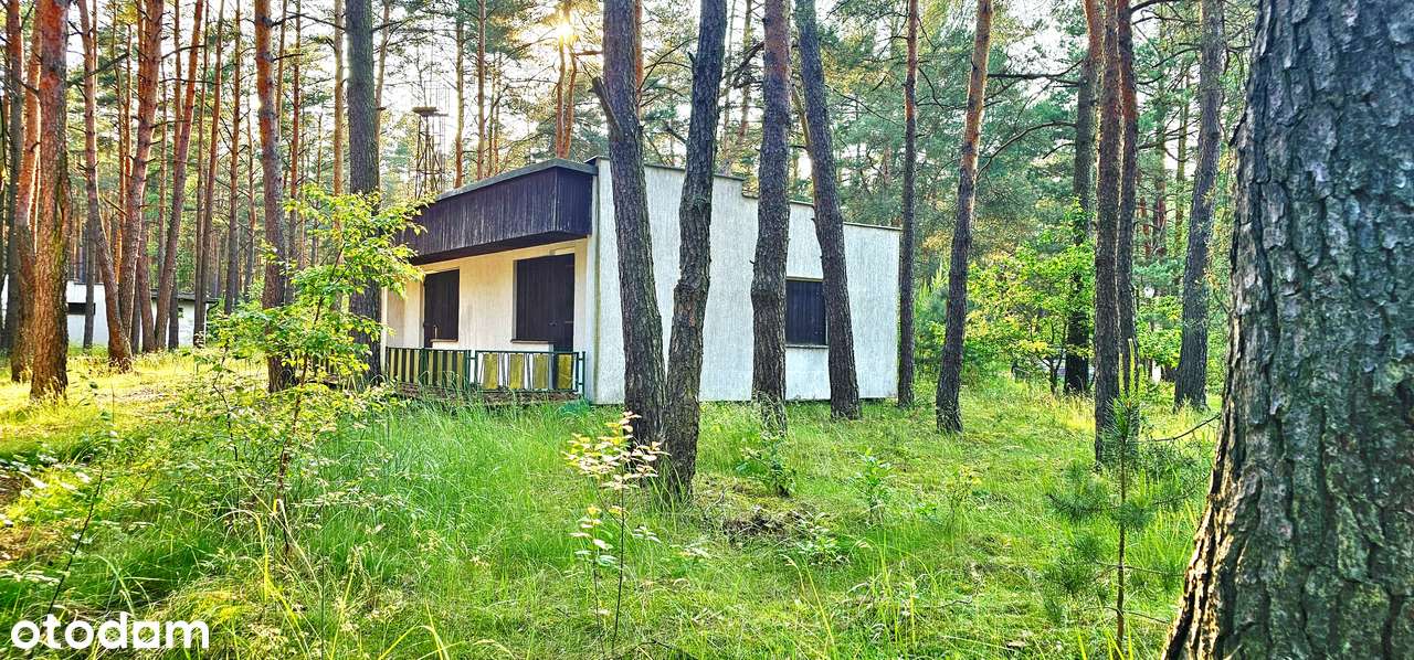 Urocze, leśne domki letniskowe przy jeziorze! Kucoby!-3