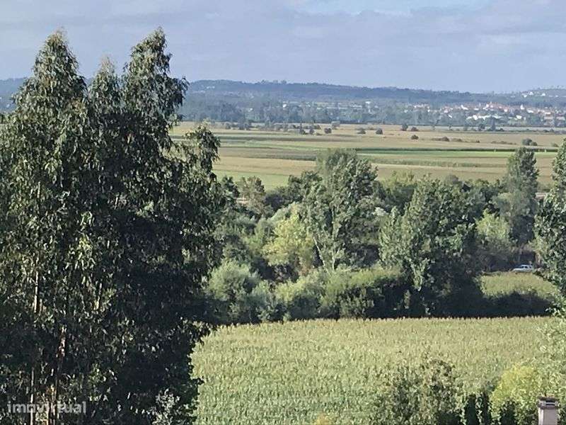 Terreno urbano Sto Varão - Grande imagem: 4/11