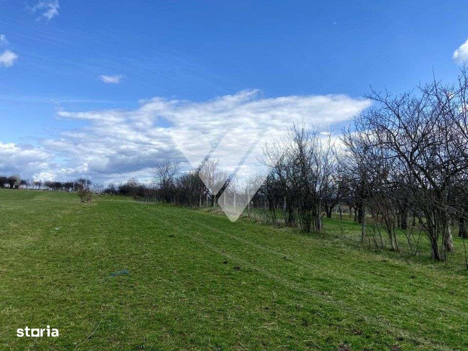 Teren 3500 mp in Rasinari – Curent in Apropiere, Zona de Relaxare - Imagine principală: 4/5