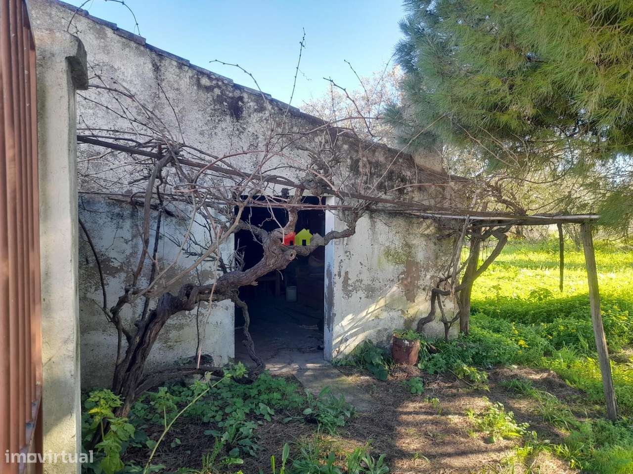 Qta Pedrogão com viabilidade de construção habitação - Grande imagem: 2/11