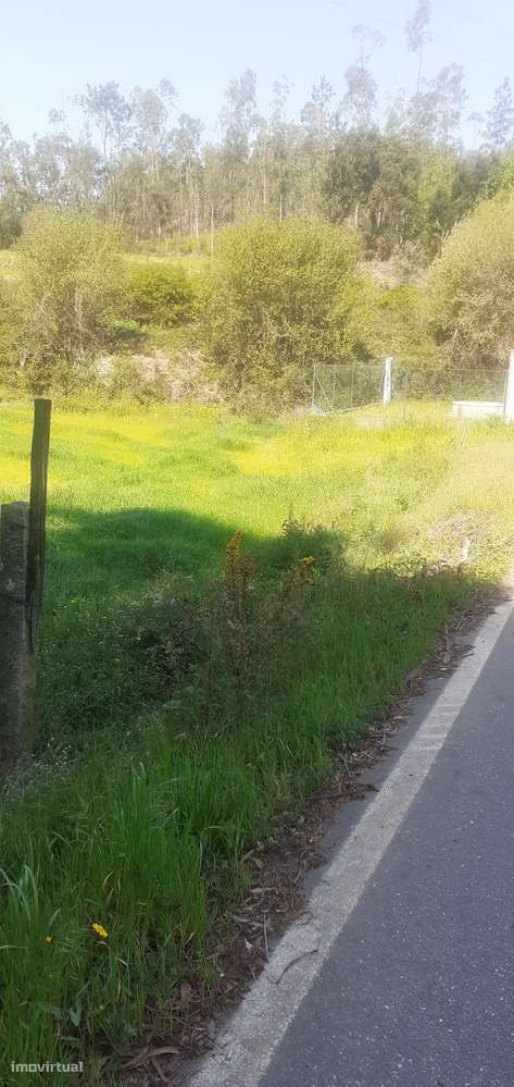 Terreno rústico para cultura em Canedo - Grande imagem: 4/8