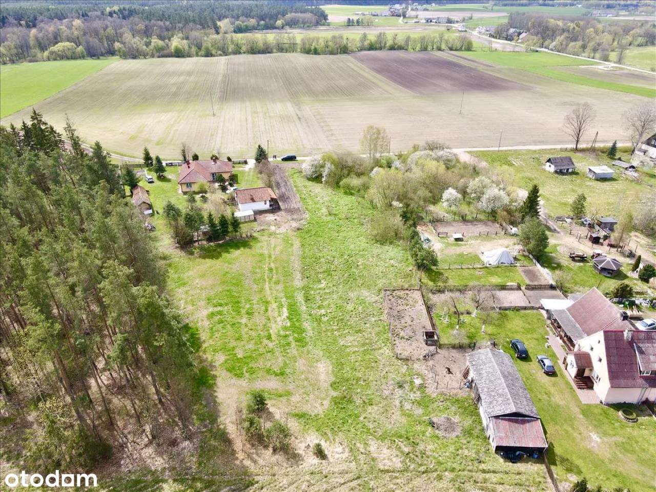 Działka w Gierłoży nad Drwęcą. - Pełny obrazek: 5/10