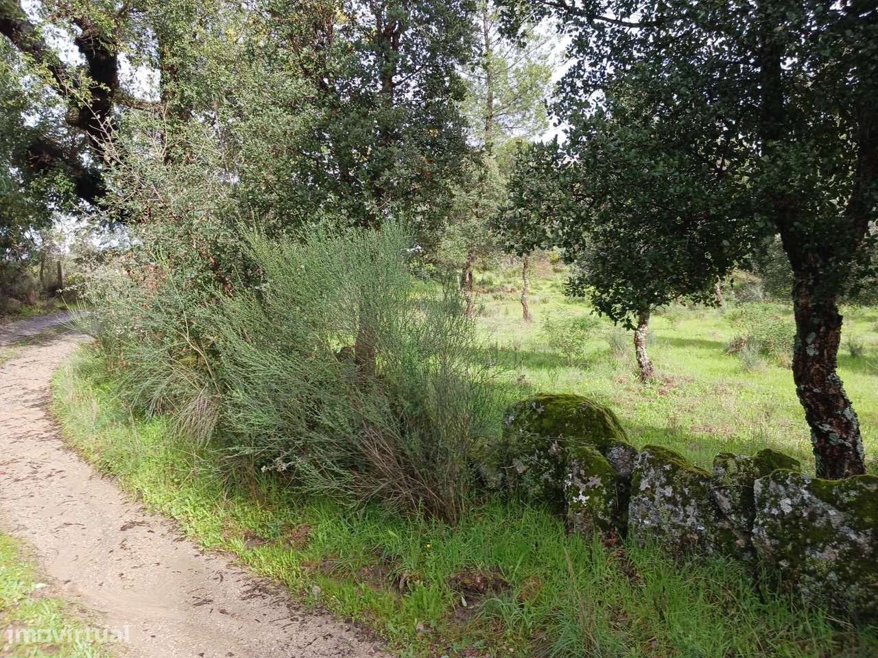 Quintinha - Grande imagem: 5/13