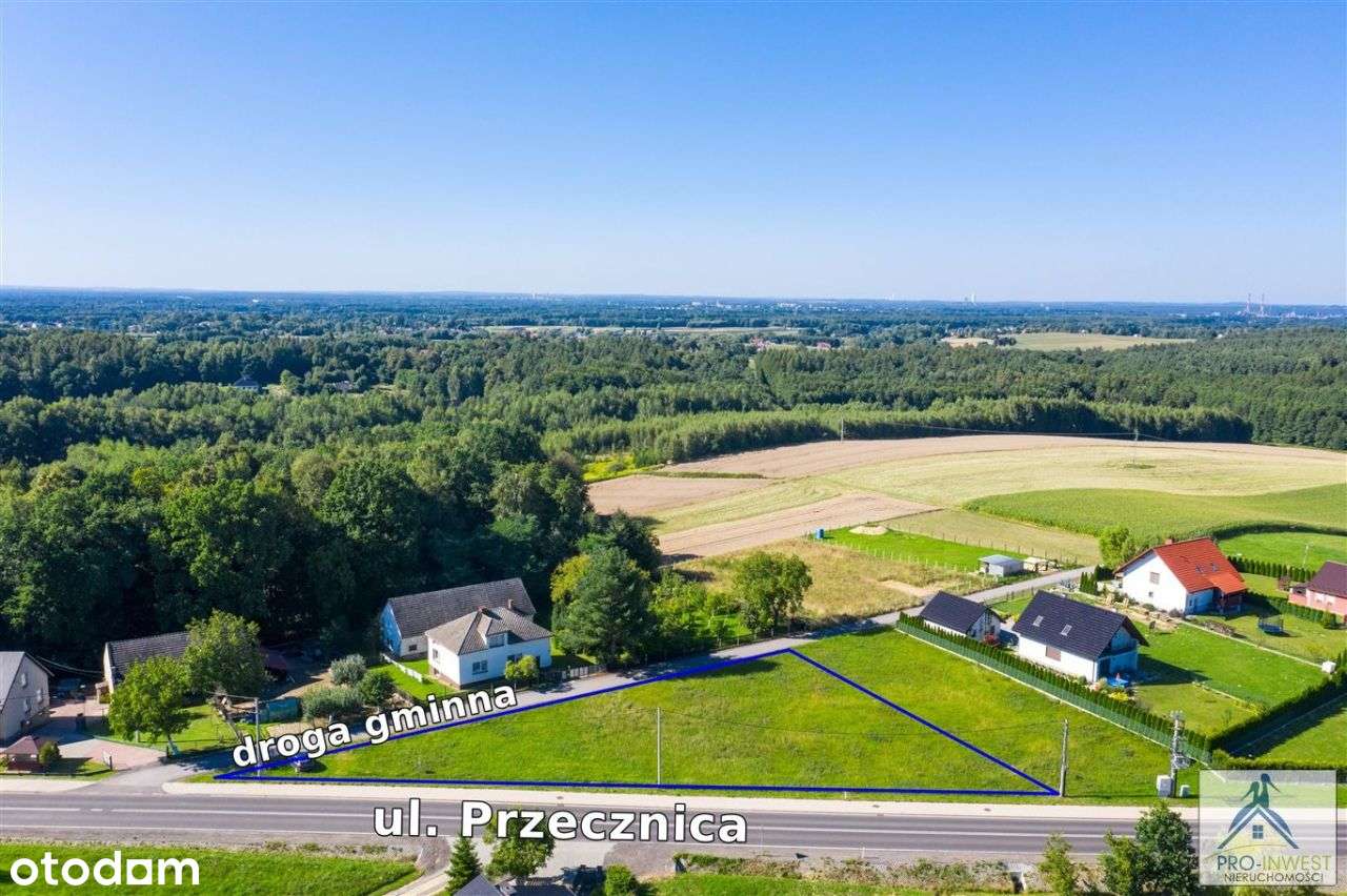 Dom + usługi nieuciążliwe bezpośrednio przy drodze-2