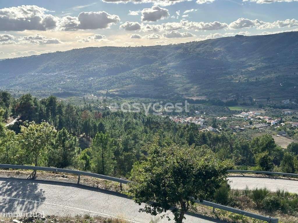 Quintinha de excelência situada no concelho de Trancoso Aldeia Nova . - Grande imagem: 5/25