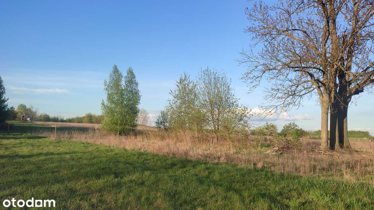 Działka budowlana pod Siedlcami - Pełny obrazek: 5/16
