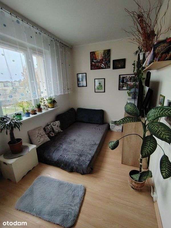 2 duże pokoje z balkonem-5