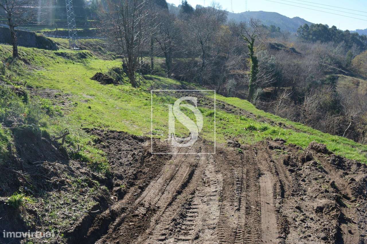 Terreno  Venda em Caniçada e Soengas,Vieira do Minho - Grande imagem: 4/9