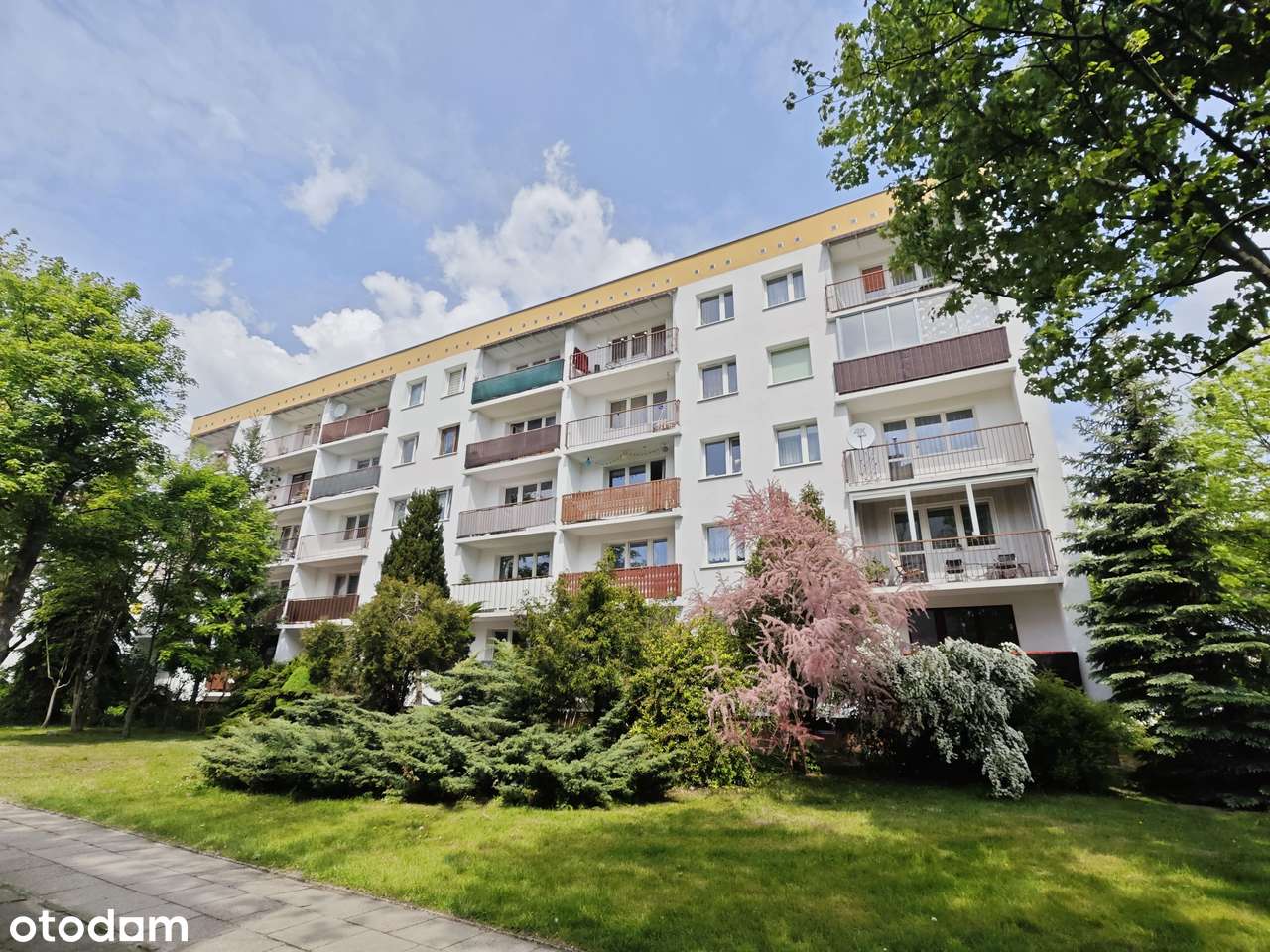 3 pokojowe mieszkanie na Widzewie, zielona okolica, dobra lokalizacja-17