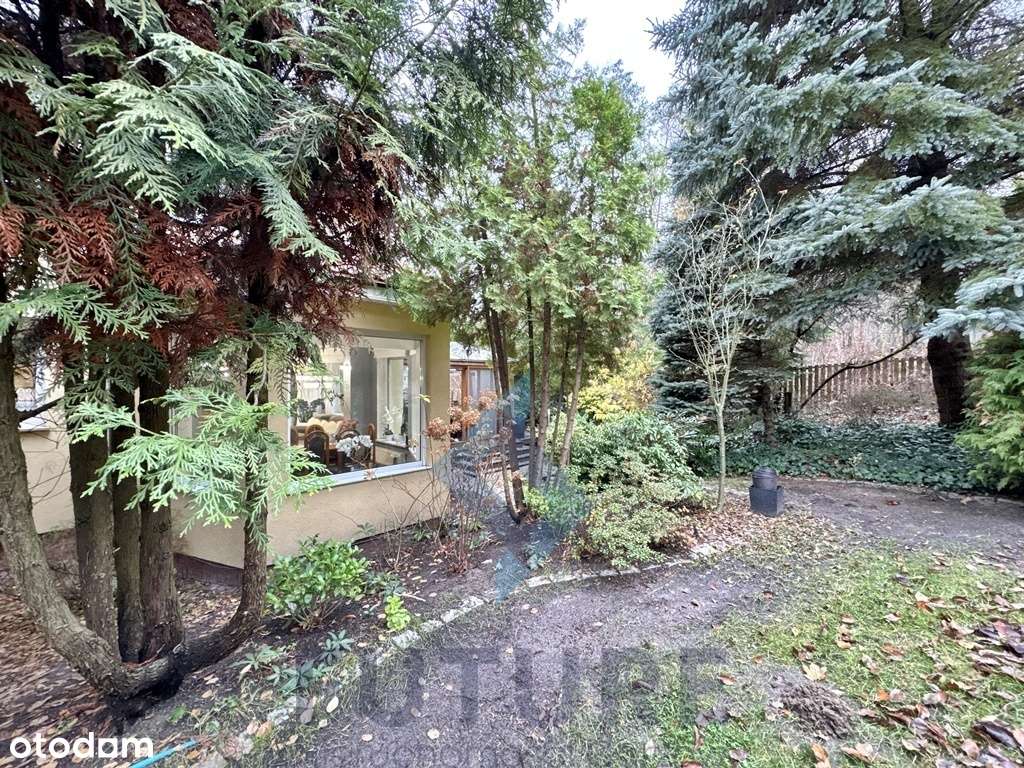 Jenin - dom z ogrodem zimowym - Pełny obrazek: 4/20