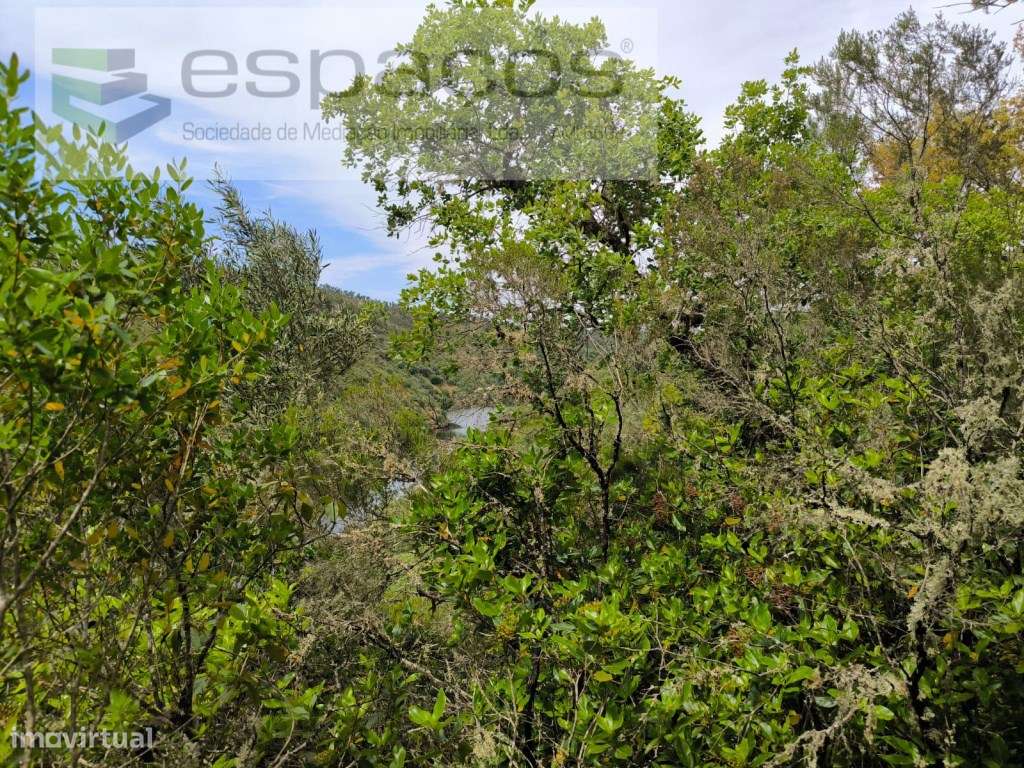 Terreno Florestal a confinar com o Rio Ponsul - Grande imagem: 2/30
