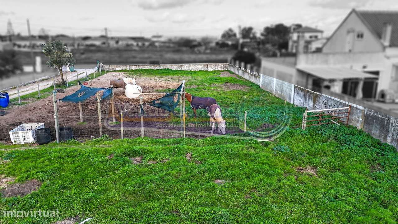 Terreno Industrial com 7.000 m² em Samora Correia (SC1023) - Grande imagem: 5/20